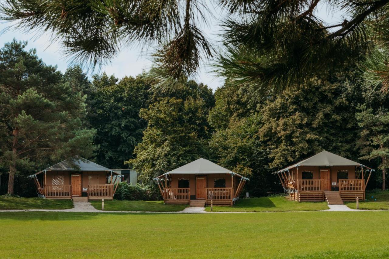 זייוולדה Glamping Lodge With Eco-Wellness מראה חיצוני תמונה