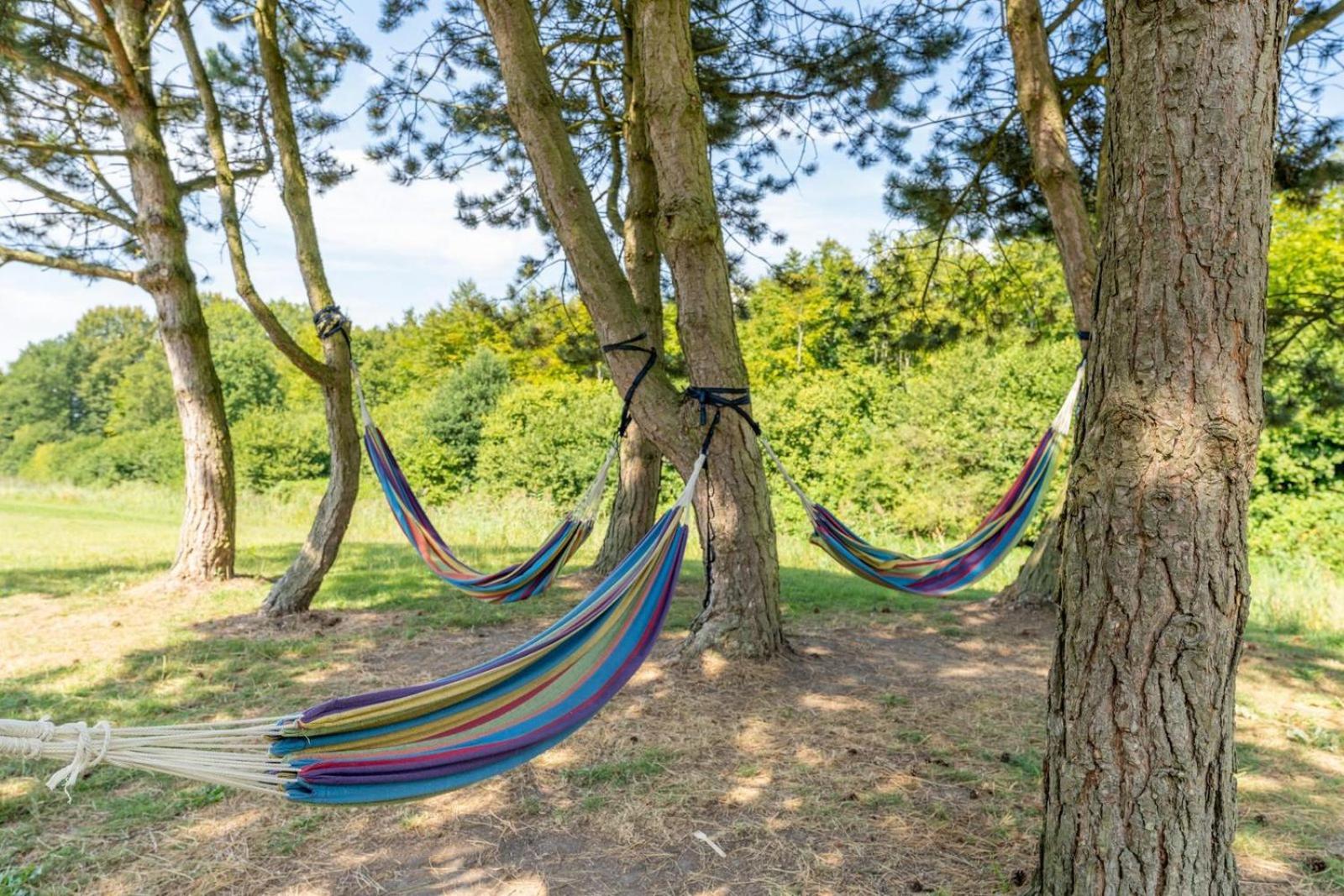 זייוולדה Glamping Lodge With Eco-Wellness מראה חיצוני תמונה